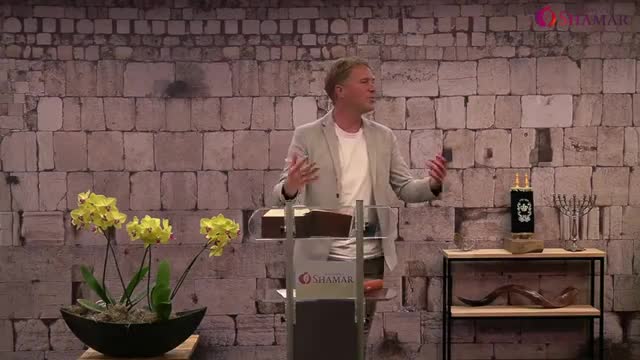 Wim Hoddenbagh - Shamar 20220528