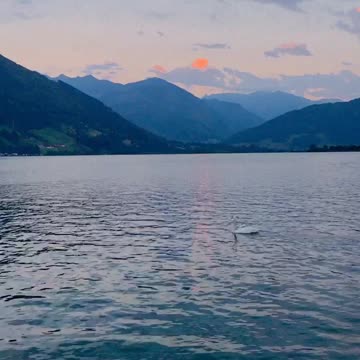 A picturesque background and the swan