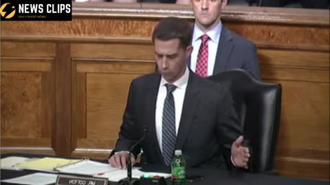 Sen Tom Cotton Question Sec Def Austin