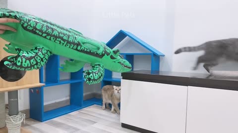 Funniest Animals 2023 - Best Cats and Dogs Videos