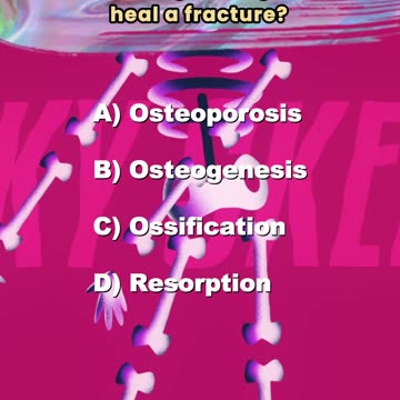 The Bone: Questions & Answers