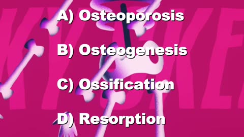 The Bone: Questions & Answers