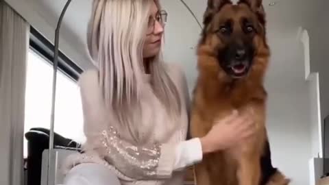 The key to a good dog