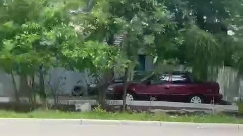 When goats run wild