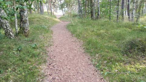 Promenad i Backåkra naturreservat och till havet 3 Aug. 2022