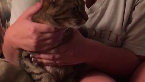 Cats neck makes a funny sound