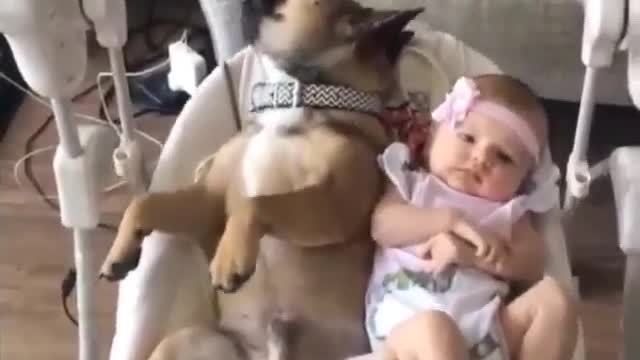 baby and dog