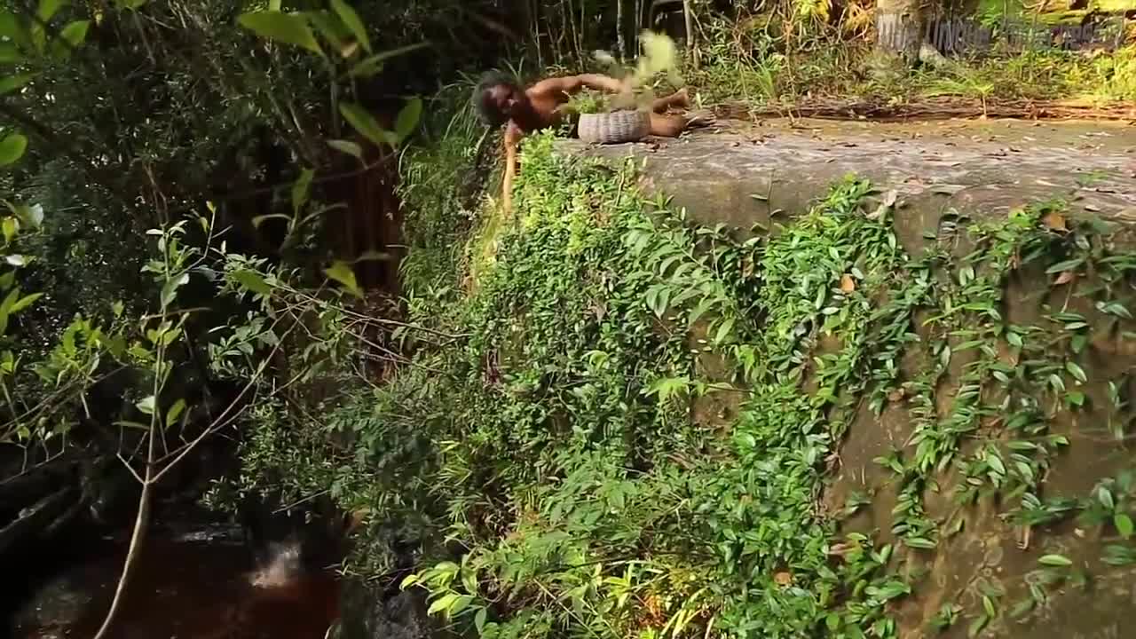 How to MAKE a HOUSE in the JUNGLE