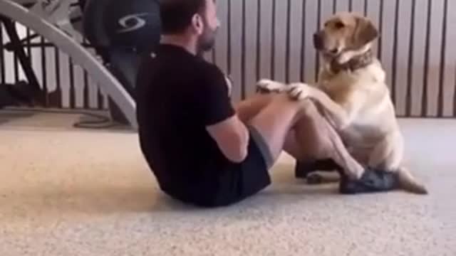 Workouts with dog 🐕