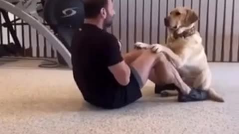 Workouts with dog 🐕