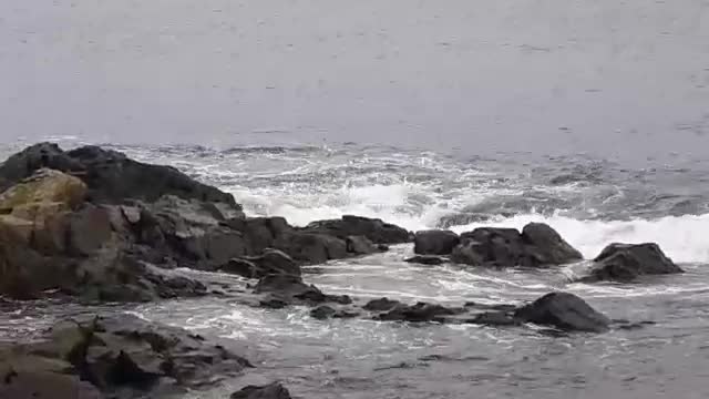 Sounds of the Ocean In October