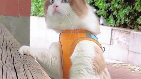 🥰🥰