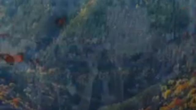 LAS CÉLULAS IMAGINATIVAS