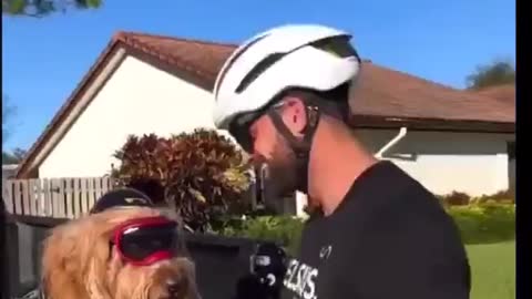 This dog is beautiful