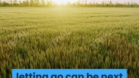 Hidden Steps in Laws of Attraction - Making the Laws of Attraction Work For You