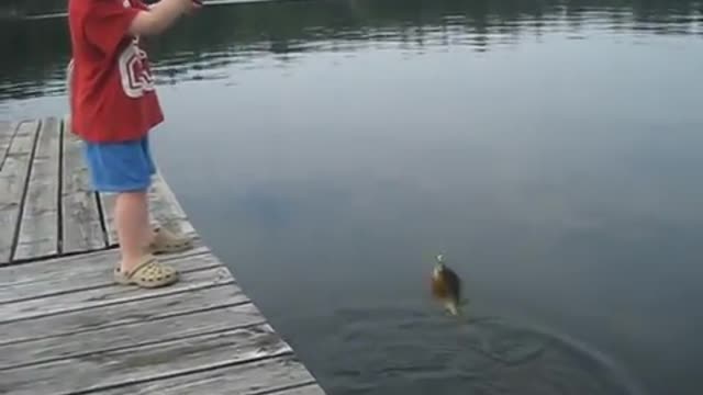 Boy catches fish in record time