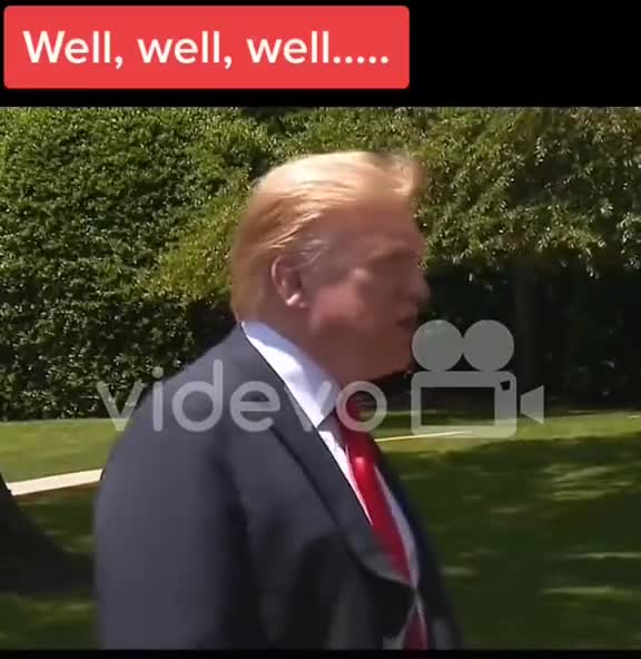 Trump declassified all Russia gate / Russia Hoax documents