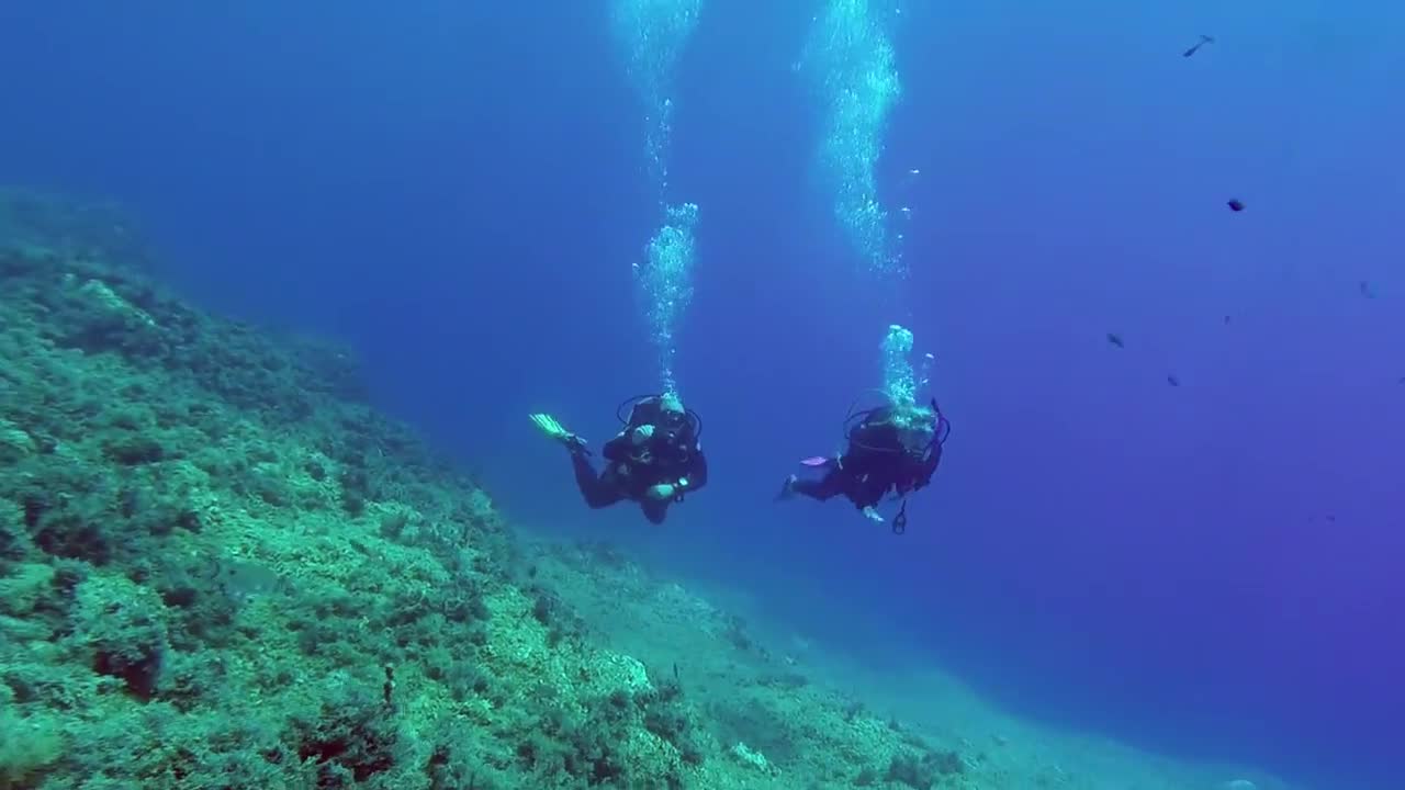 Scuba Diving Is One of My Favorite