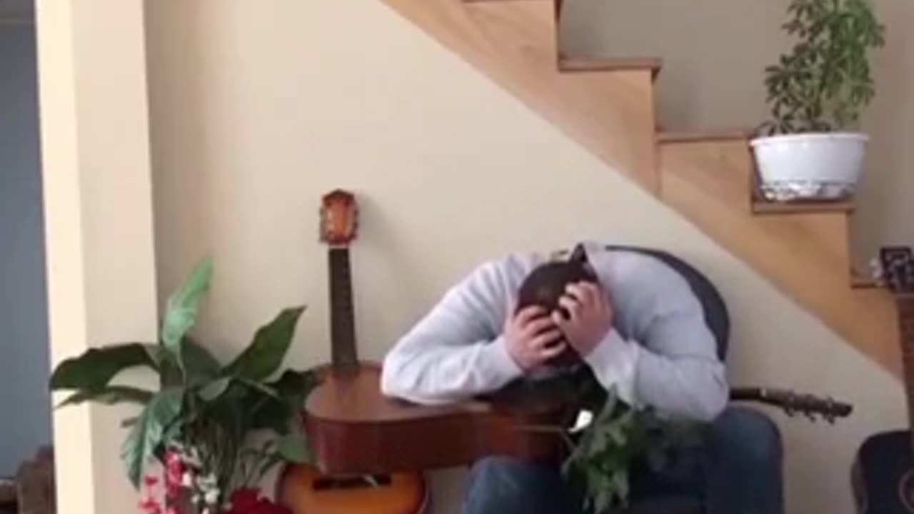 FUNNY VIDEO ! CAT HIT FLOWER POT