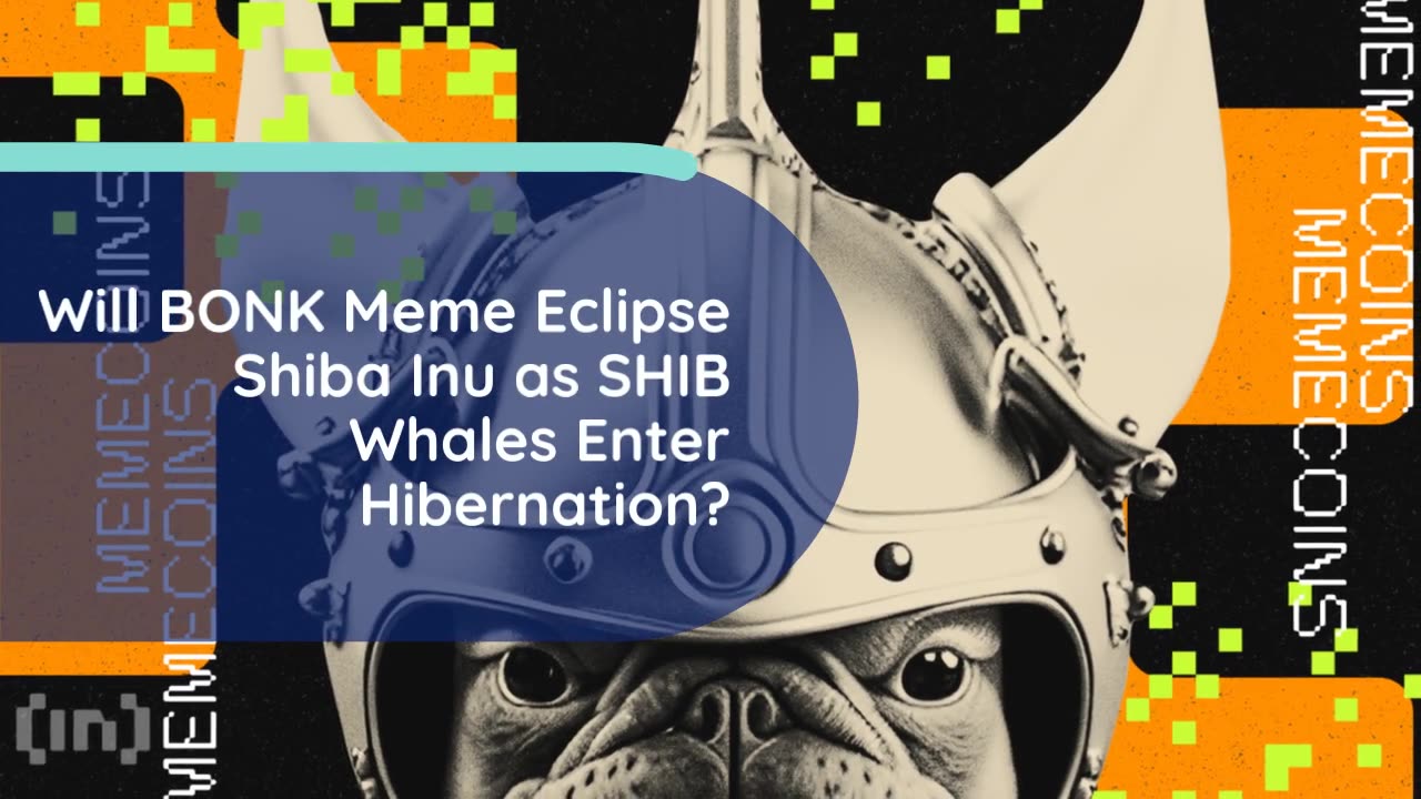 Will BONK Meme Eclipse Shiba Inu as SHIB Whales Enter Hibernation?