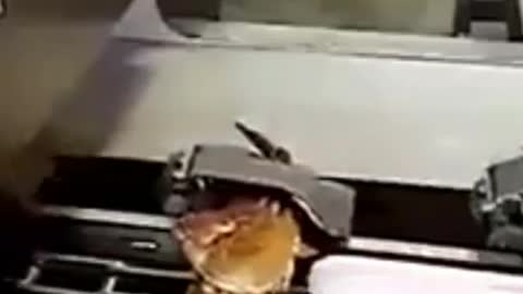 Processed crabs