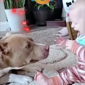The Cutest Baby & Dog Moments Ever!