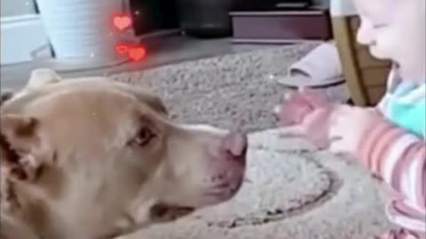 The Cutest Baby & Dog Moments Ever!