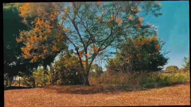 Comunidade São João Batista - Apuí - AM