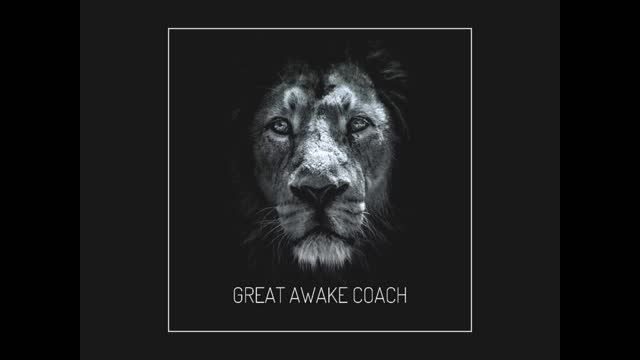 Great Awake Coach 009 : IF ALIEN SHIPS LAND, DON'T GET ON THEM