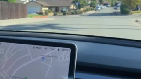 Driving In San Diego with My Tesla