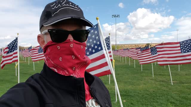 A walk in the park! 2020 American flags wave in the breeze!