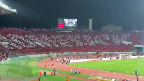 جنون جماهير الوداد