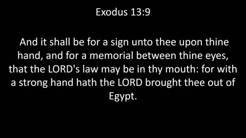 KJV Bible Exodus Chapter 13