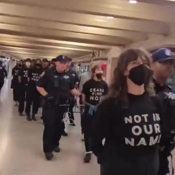 New York police arrested hundreds of Jewish Americans protesting Israel's brutal invasion of Gaza