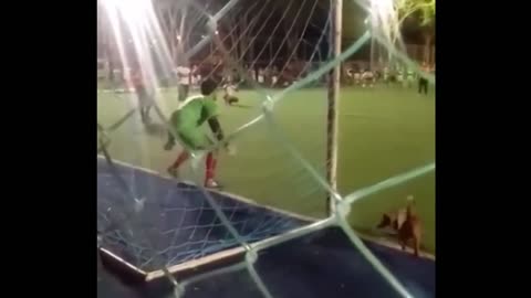 Dog goalkeeper