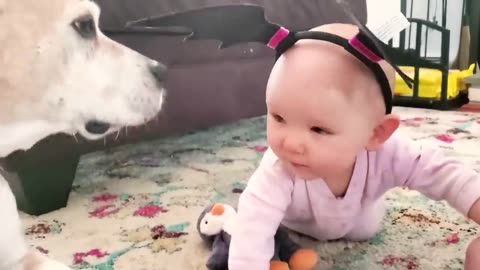 Funny Baby Videos - All Of The Cutest Thing You'll See Today