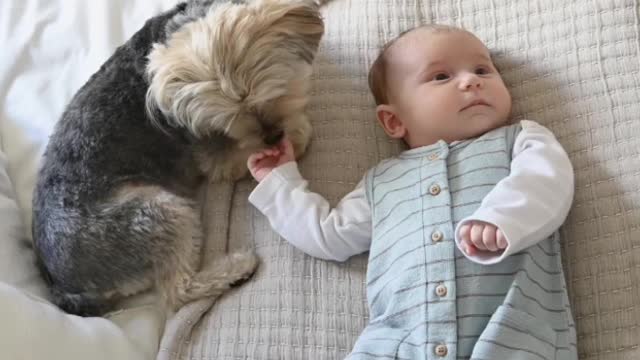 Cute dogs with baby | cute dog #dog #baby #animals