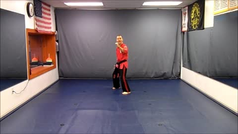 Basic Skillz Orange Belt - Red Stripe