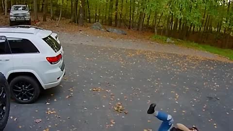 These fails are GOLD 😂