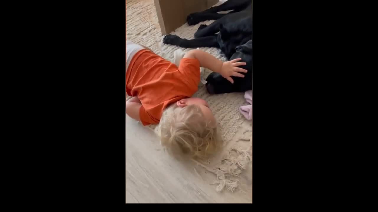 This baby is taking care of Elvis! Adorable moment 😍