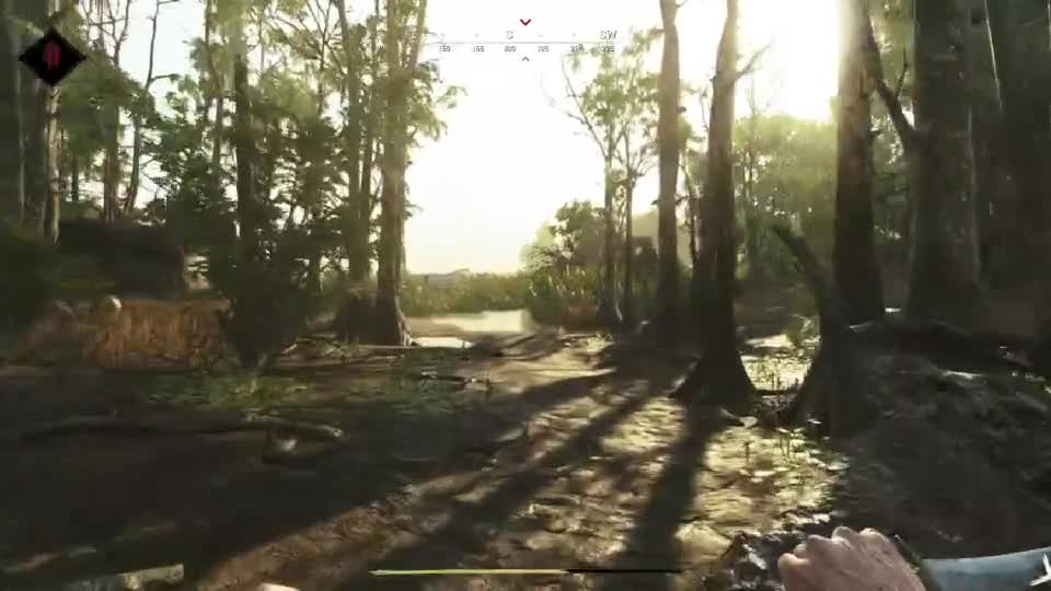 Hunt: Showdown Pt.22