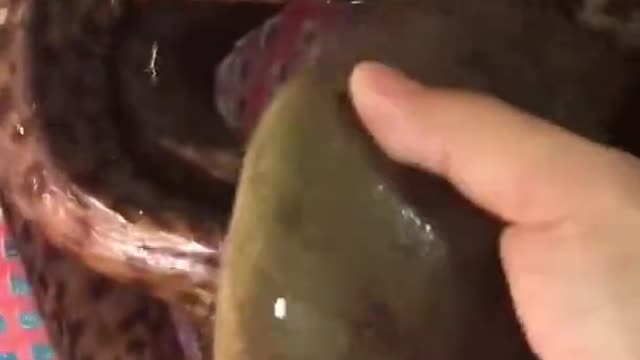 New primitive technology. Old methods in a new way v.18