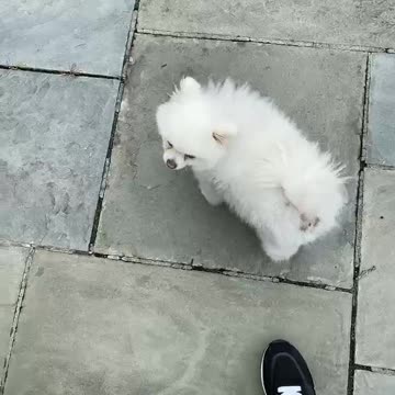 BUy2jN3MWkGd78v2YsNn3G