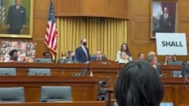 Screaming anti-gun activist David Hogg has to be ESCORTED out of House hearing!!