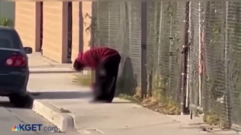 Man eats severed leg. Yon is right