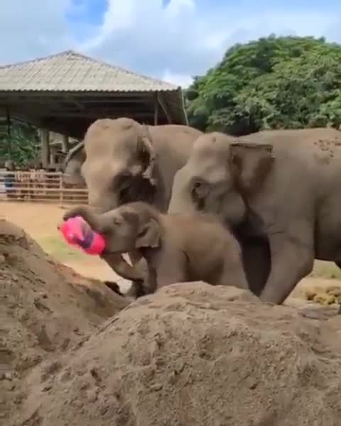 Всем детям нужны игрушки)Всем детям нужны игрушки)