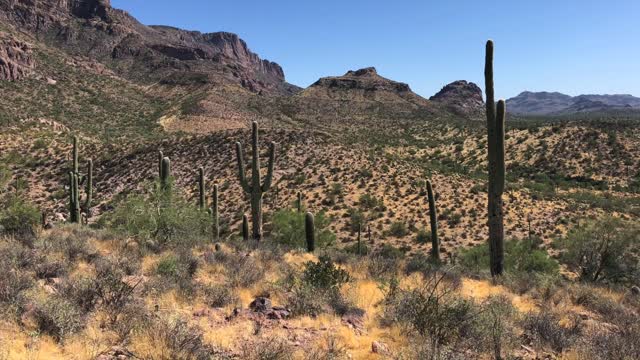 Hiking the Hieroglyphic Trail,