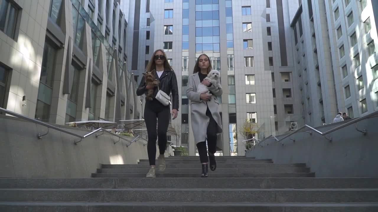 Two stylish young girls with small dogs in their arms go down the stairs