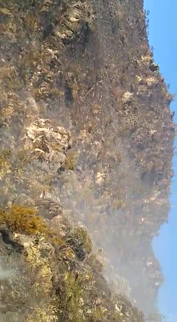 Incendio consume más de 80 hectáreas del Páramo del Almorzadero en Santander