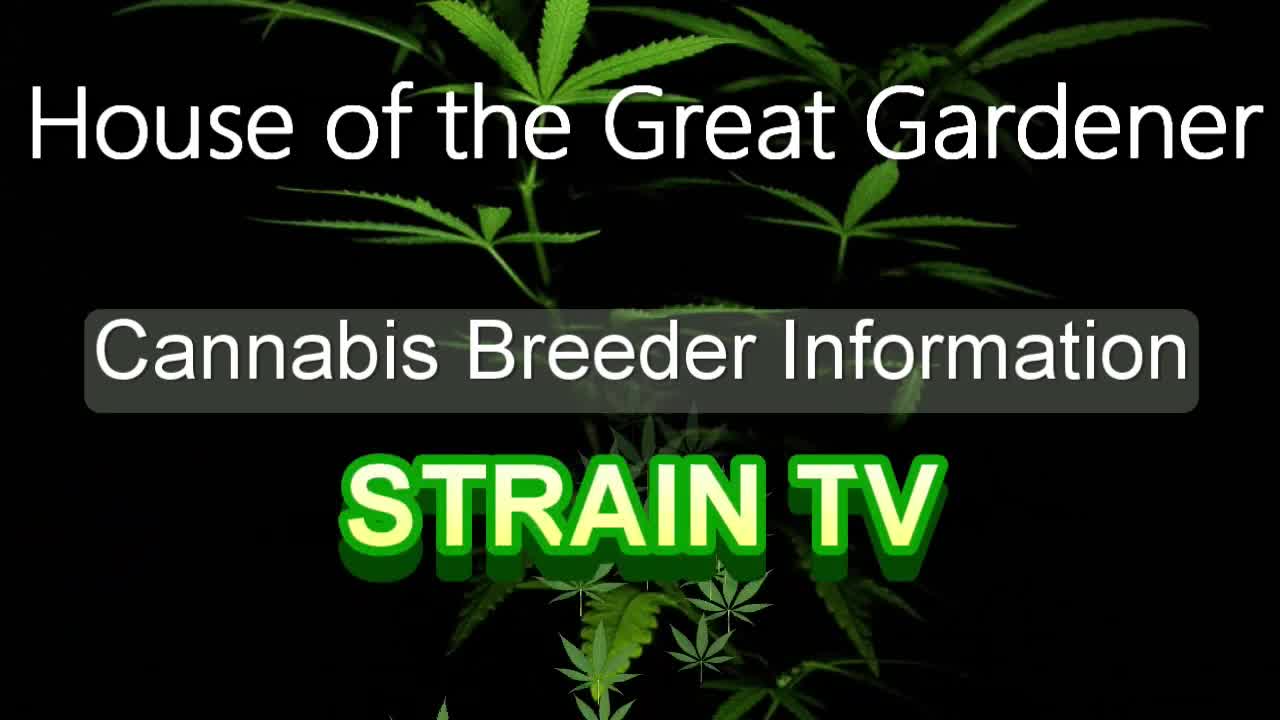 House of the Great Gardener - Cannabis Strain Series - STRAIN TV